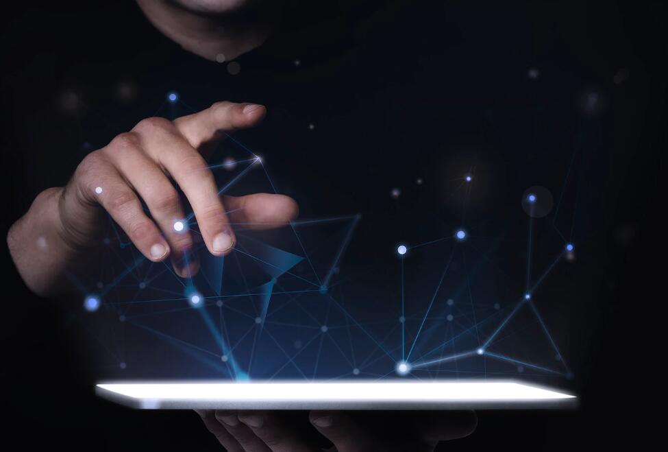 中华神龙特征 中华神龙正版价格